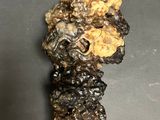 a close up of a piece of rock on a table