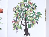 a picture of a book with a picture of a tree and a bird