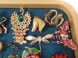 a tray that has a bunch of brooches on it