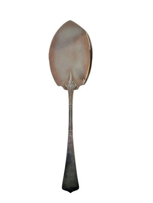 a silver spoon with a spoon handle on a white background