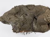 a very old statue of a man laying down on a white surface
