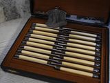 an image of a set of knives in a case