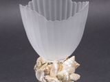 a glass vase with shells in it on a black surface