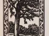 a black and white drawing of a tree in a frame