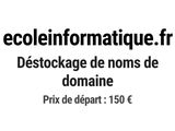 Photo 1/1 du lot