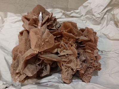 Rose des sables. Longueur : 26 cm