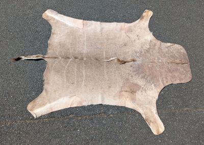 une photo d'une peau de vache posée par terre