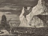 un dessin représentant un bateau sur l'eau, avec des icebergs en arrière-plan