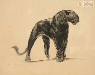 dessin représentant un lion en noir et blanc sur un fond beige
