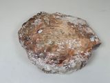a piece of bread that is sitting on a table