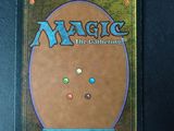 a close up of the back of a magic the gathering deck box