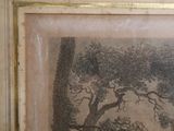 a picture of a picture of a tree in a picture frame
