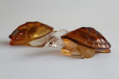 two glass turtle figurines sitting on a white surface
