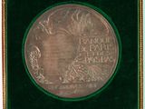 an image of a silver medal in a green velvet case