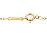 a gold plated chain with a clasp on a white background