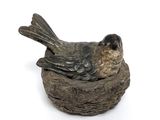 a bird that is sitting on top of a piece of wood