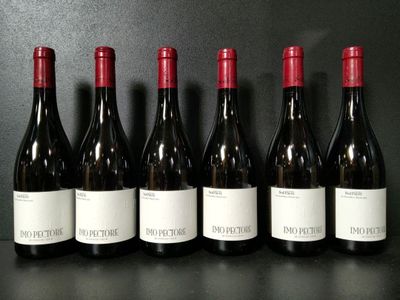 6 bouteilles de vin rouge Sol Payré Imo Pectore 2023 - TVA R… - Photo 1