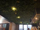 une pièce avec un mur en briques et un plafond sur lequel poussent des plantes