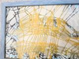 la photo d'une image représentant un oiseau jaune dans un cadre