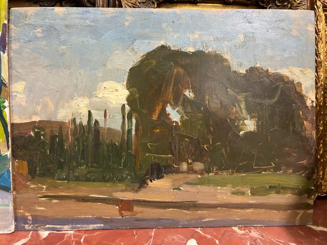 « Paysage ». Huile sur panneau. Non signée. 24 x 33 cm 