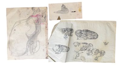 three drawings of a cat and other items on a piece of paper