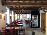 tables and chairs in a restaurant with a dog sitting in the middle of the room