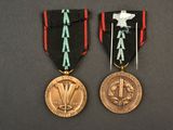 two medals are shown on a black surface with a red ribbon