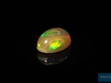 an oplite in the dark with a black background