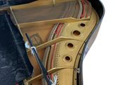 a close up of a piano in a case