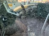 un cheval debout sur la banquette arrière d'une voiture