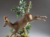 un cerf sautant par-dessus un arbre surmonté d'une branche