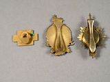 a gold pin with a ladybug on it and a gold pin with a ladybug on it