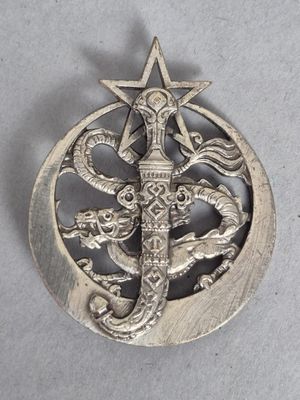 une image représentant une broche en argent surmontée d'une étoile