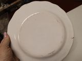 a person holding a white plate on a table