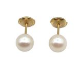 a pair of pearl earrings on a white background