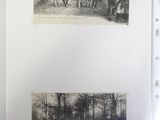 two black and white photos of a group of people standing in a forest