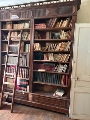 une échelle appuyée contre une bibliothèque dans un coin de la pièce
