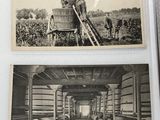 deux photos en noir et blanc représentant un homme sur une charrette et un homme à cheval tirant une charrette