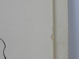 a drawing of a bird on the wall next to a window