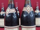 Plusieurs bouteilles de vin sont alignées sur une surface rouge