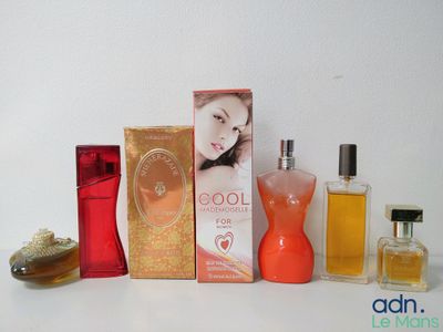 Plusieurs types de parfums sont présentés sur une surface blanche