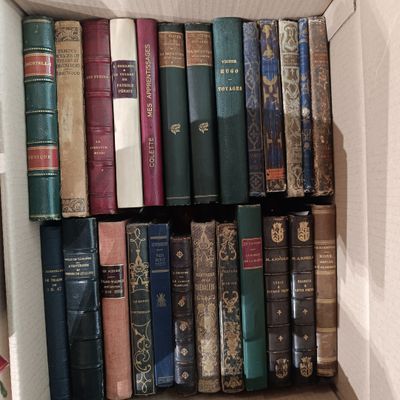Manette de livres