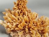 a bunch of yellow flowers that are on top of a piece of bread
