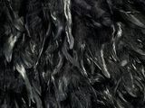 a close up of a man with a beard and a black fur coat