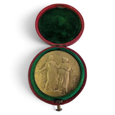 l'image d'une médaille d'or dans un écrin rouge sur fond blanc