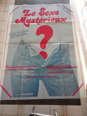 une grande affiche accrochée au mur d'un immeuble, sur laquelle figure un point d'interrogation