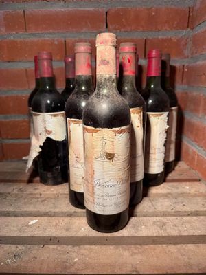 12 bouteilles Château MOUTON-BARONNE-PHILIPPE, 5° cru Pauill…