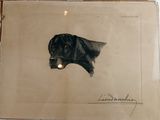 un dessin représentant un chien tenant une lampe dans la gueule