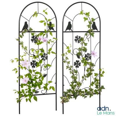 deux oiseaux noirs perchés au sommet d'un treillis métallique orné de fleurs roses