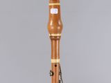 side view of a musical instrument showing the body of the instrument